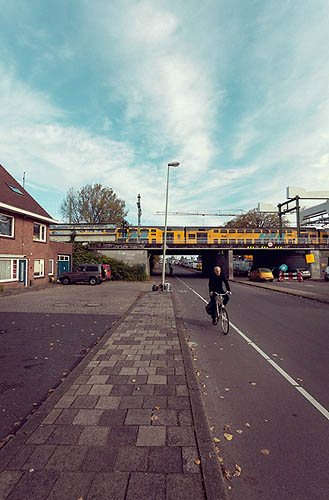 Cycliste à Haarlem (2012)