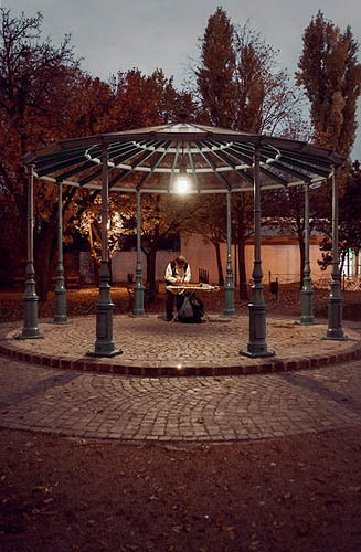 Un musicien, un kiosque, le crépuscule (2012)