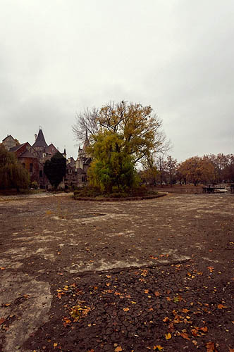 Un arbre sur son ilôt (2012)