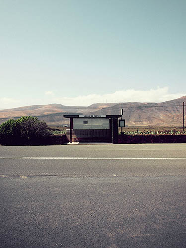 Jardin de Cactus (2012)