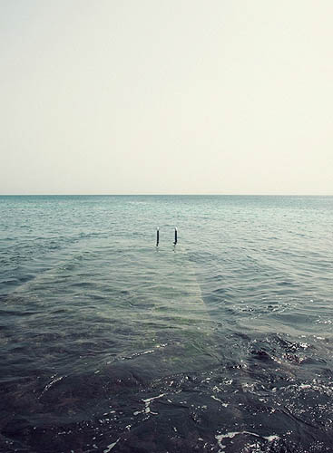 Immergée (2012)
