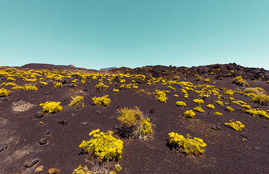 Prairie volcanique (2014)