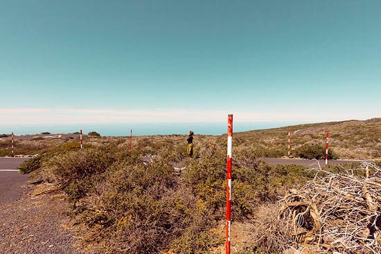 Au milieu des piquets (2014)