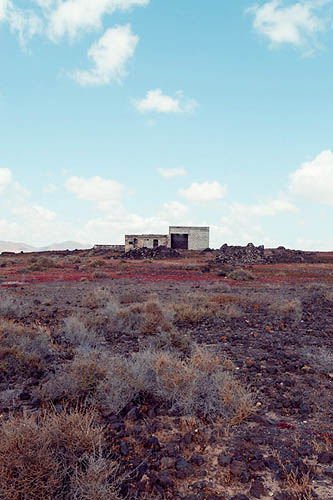 Des ruines à l'ombre (2015)