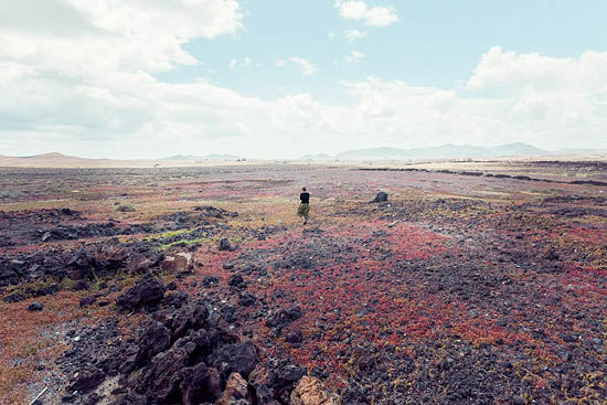 A la recherche d'un crâne de chèvre... (2015)