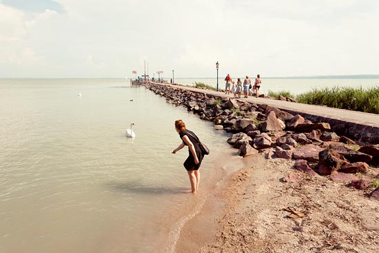 Attention aux doigts / Hongrie (2016)