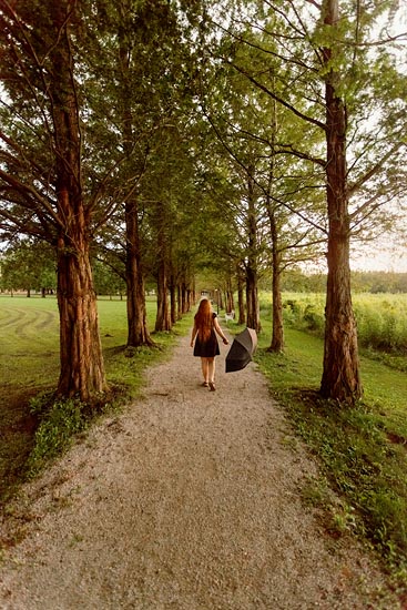 On prend le parapluie, au cas où / Hongrie (2016)