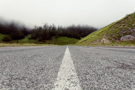 Brouillard d'arbres sur route dégagée II / Croatie (2016)