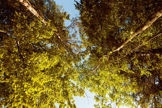 Allongés au bord du lac / Italie (2016)