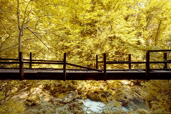 Pont à Vintgar / Slovénie (2016)