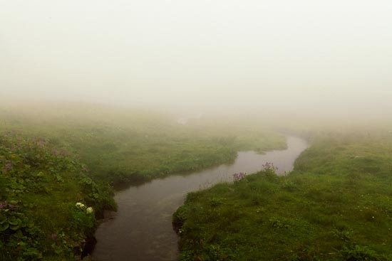 Ruisseau sous le brouillard / Suisse (2016)