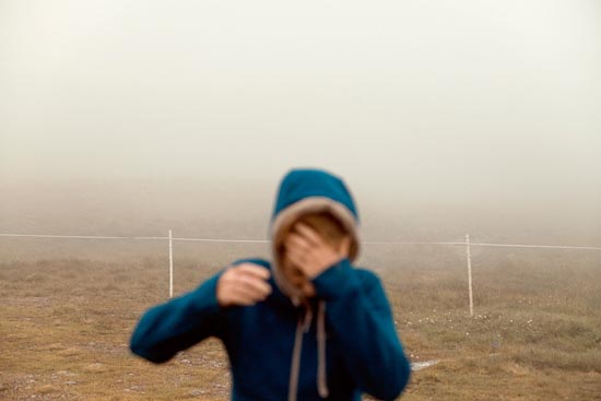 Floue capuche / Suisse (2016)