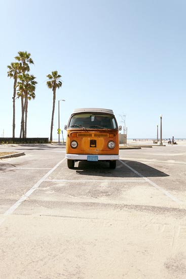 Noseless combi (2016)