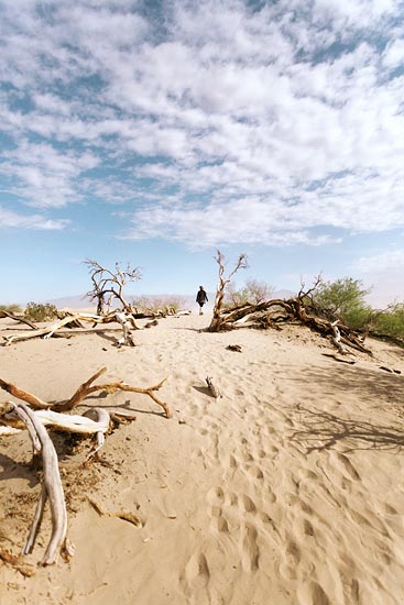 Dunes of Death Valley (2016)
