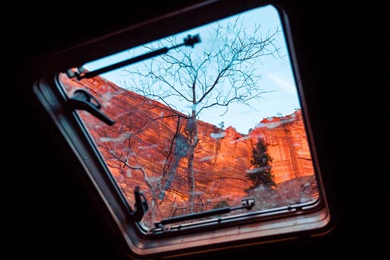 Window tree (2017)