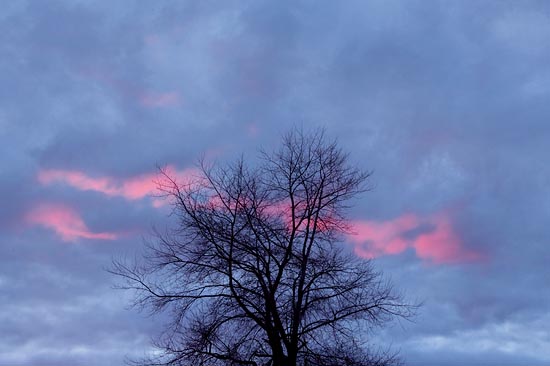 Rose de ciel à Glen Nevis / Écosse (2018)