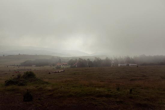 Berger et troupeau dans la brume grise / Serbie (2018)