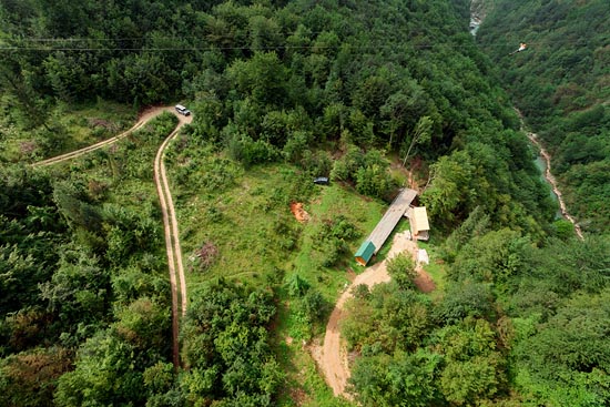 Green Tête d'épingle I / Monténégro (2018)