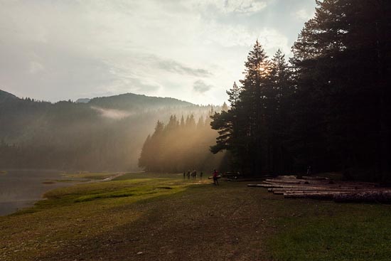 Pins Noirs autour du Lac Noir / Monténégro (2018)