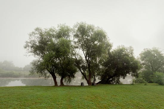 Des arbres et des pneus / Slovénie (2018)