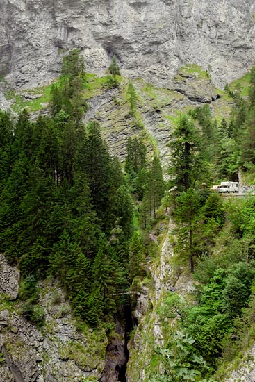 Grey & Green + Camping-cars / Suisse (2018)