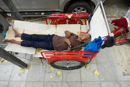 Rêver d'être un petit animal  / Thaïlande (2020)