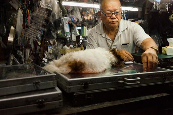 Le vendeur et son petit chien endormi / Thaïlande (2020)