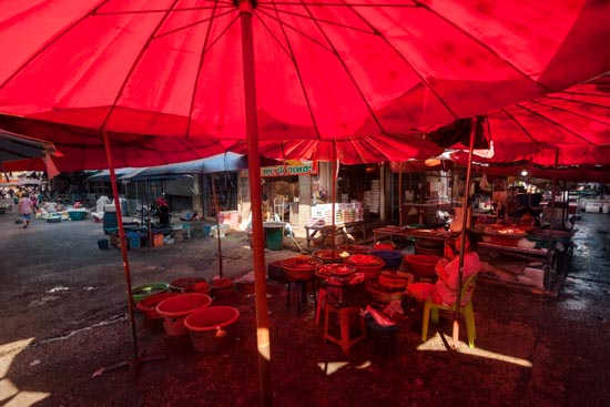 La vendeuse de poissons frais / Thaïlande (2020)