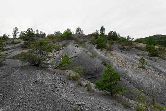 Green & Gray Paysage I / France (2022)