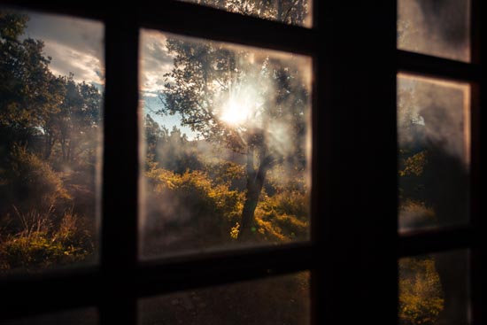 Window Paysage I / France (2022)