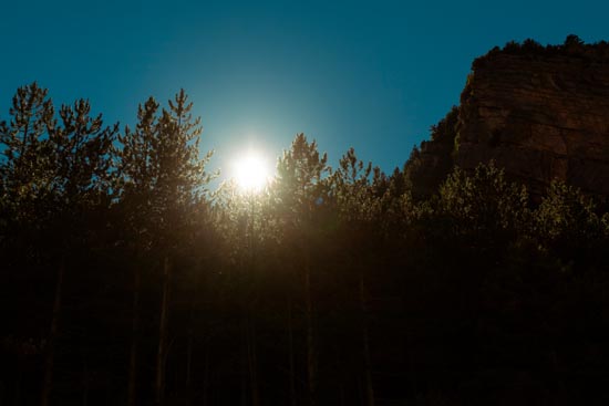 Shinny Cimes / France (2022)