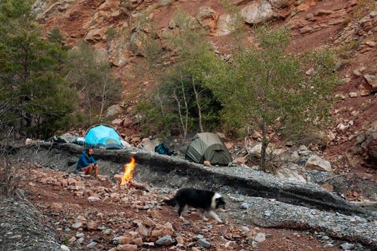 Du feu dans la rivière, le matin / France (2022)