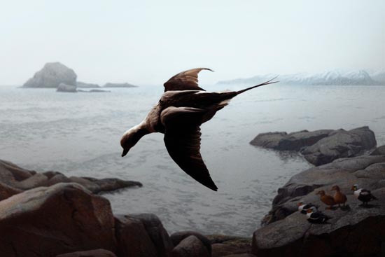 5840 (American Museum of Natural History - NY - USA - 2022)