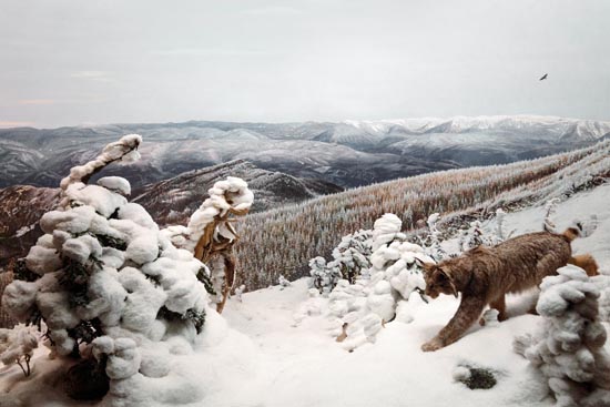 5924 (American Museum of Natural History - NY - USA - 2022)