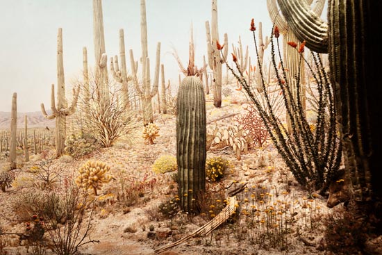 5958 (American Museum of Natural History - NY - USA - 2022)