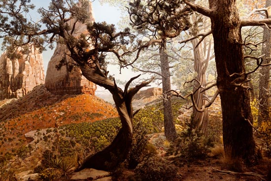 5961 (American Museum of Natural History - NY - USA - 2022)