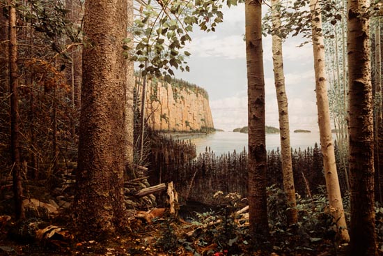 5966 (American Museum of Natural History - NY - USA - 2022)