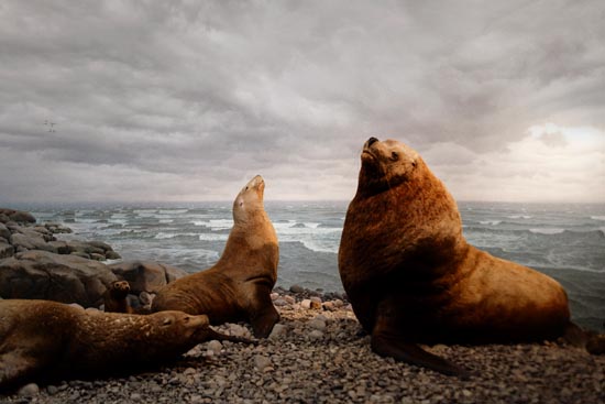 5975 (American Museum of Natural History - NY - USA - 2022)