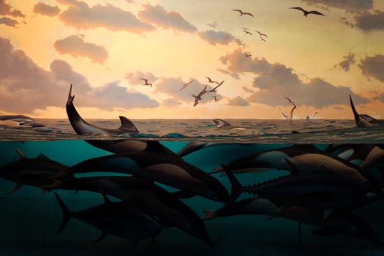 5978 (American Museum of Natural History - NY - USA - 2022)