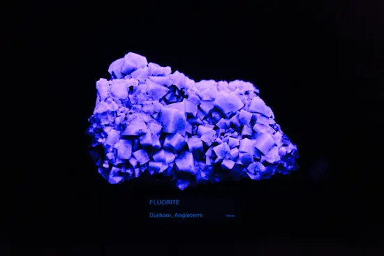 FLUORITE (Durham, Angleterre - 90495) / Suisse (2023)