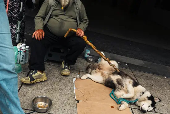 Le sans-abris et son chien / Allemagne (Été 2024)