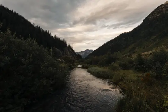 Rivière de camping II / Autriche (Été 2024)