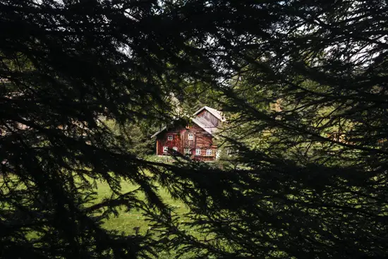 Chalet entre les arbres / Autriche (Été 2024)