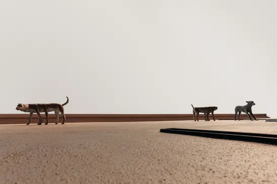 3 chiens étranges / Taïwan (2024)