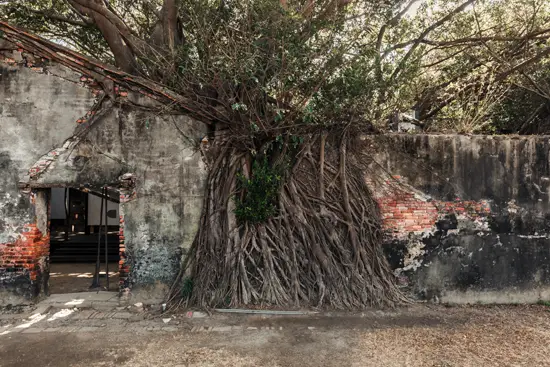 Anping Tree House / Taïwan (2024)
