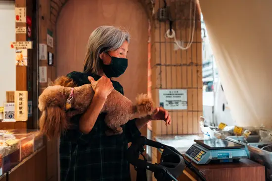 Caniche à bras / Taïwan (2024)