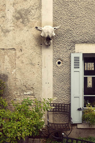 Curiosité de Bourgogne (2015)