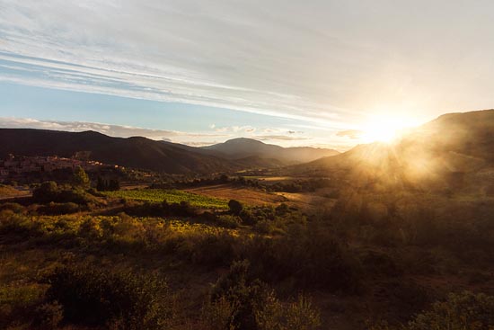 Les vignobles de Cucugnan / France (2017)