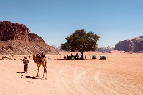 A l'ombre de l'arbre / Jordanie (2019)