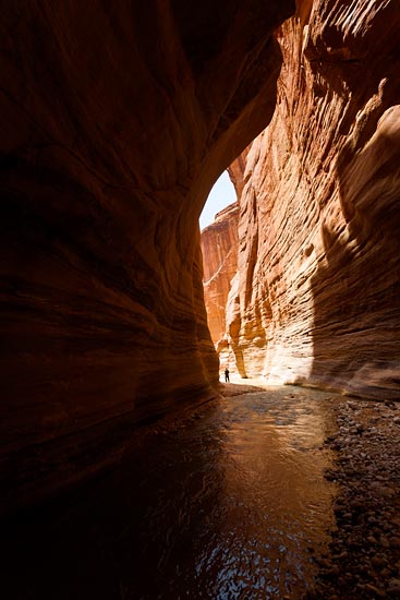 Wadi al-Hasa / Jordanie (2019)